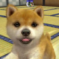 Nintendo soñó con llevar Nintendogs a Wii, pero nunca se atrevió a sacarlo a pasear por culpa de sus mandos 