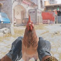 Por algún motivo que nadie se explica, ahora puedes criar y tener gallinas como mascota en Counter-Strike 2 