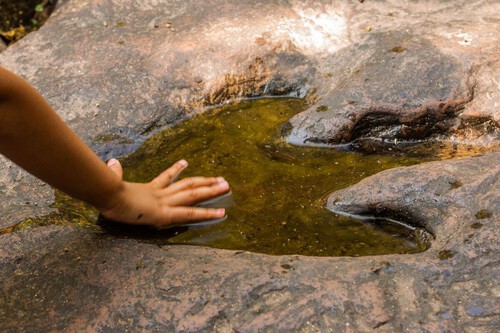 Huellas de dinosaurios en Puebla: confirman rastros de herbívoros, carnívoros y posibles voladores de 120 millones de años