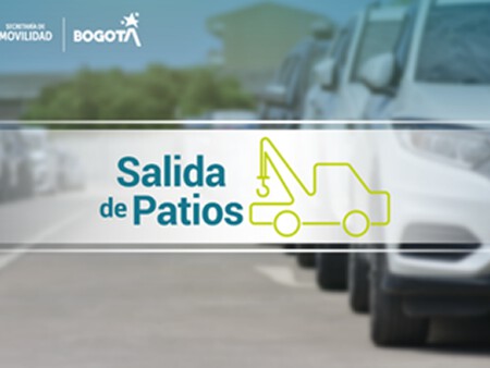 Vehiculos Inmovilizados 2