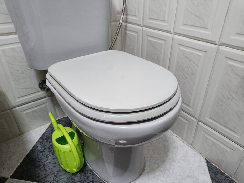 Este es el motivo por el que echar sal en tu váter es una muy buena idea 