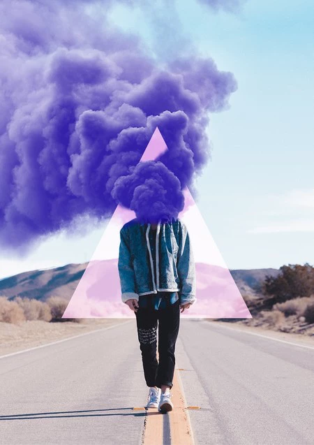 エンライトフォトフォックス 1