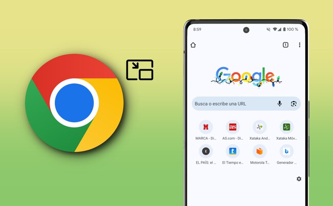 Chrome Pip