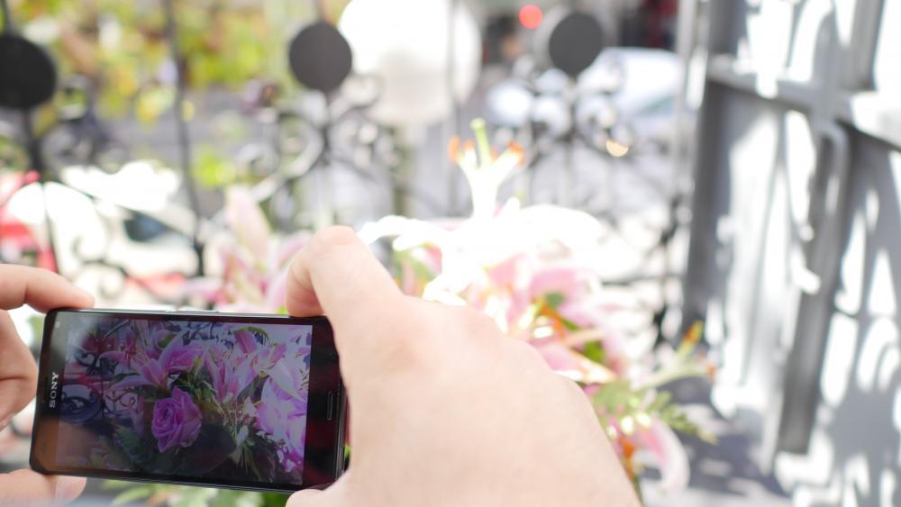 Sony Xperia Z3 Compact, Análisis, Review con características, precio y ...