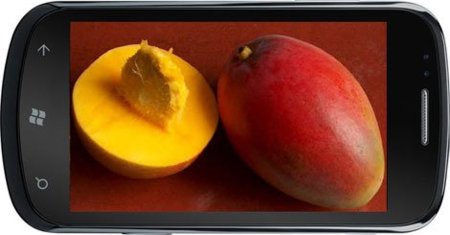Windows Phone 7 Mango llega a los desarrolladores, Tango y Apollo serán los siguientes