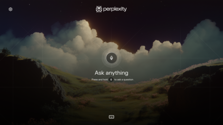 Perplexity