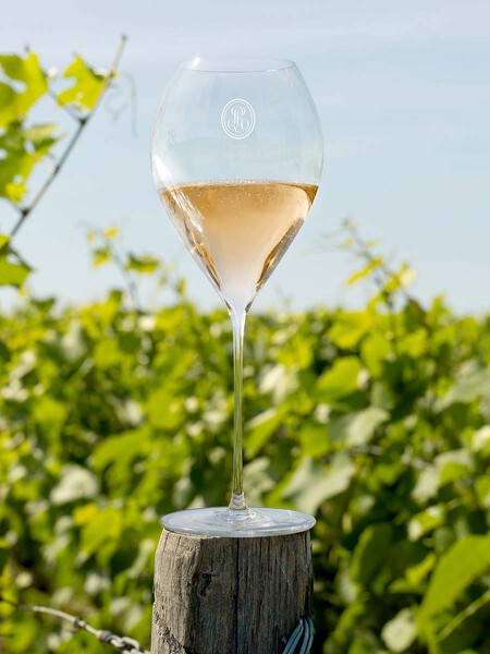 Copa De Champagne Louis Roederer C Louis Roederer