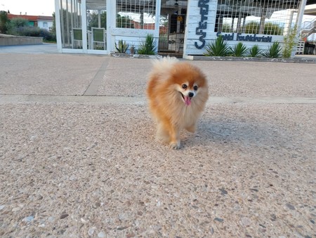 00c083c4 274c 41fa 89cd Eed89968abb6