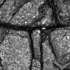 Foto 8 de 10 de la galería fotografos-como-tu-hugo-rodriguez en Xataka Foto