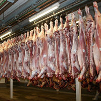 La flexibilidad laboral era esto, el falso autónomo ante la pérdida de derechos laborales 