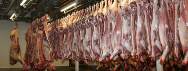 La flexibilidad laboral era esto, el falso autónomo ante la pérdida de derechos laborales 