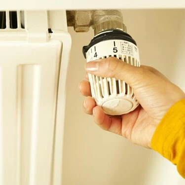 Pexels Boom 12644994