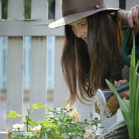 Regar las plantas en verano puede ser contraproducente: esta es la mejor hora para el riego