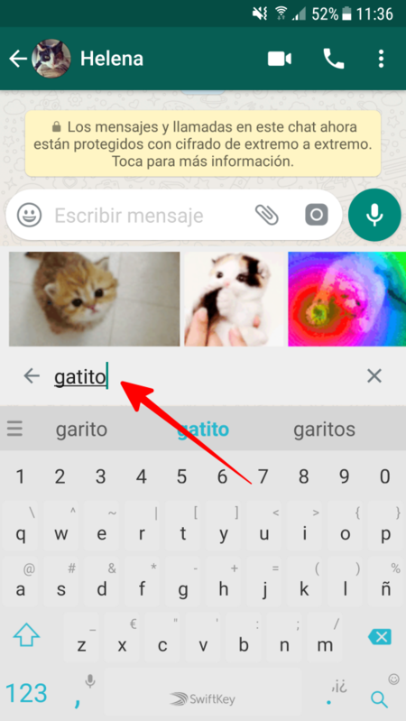 Escribe Para Buscar Un Gif