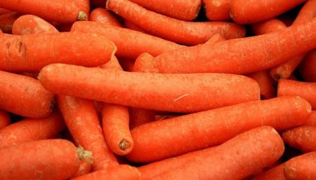 Comidas más nutritivas: consigue Vitamina A (I)