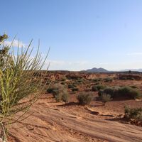 Nem rios, nem oceanos: vencedor do Nobel cria máquina capaz de extrair até mil litros de água por dia do ar do deserto 