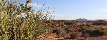 Nem rios, nem oceanos: vencedor do Nobel cria máquina capaz de extrair até mil litros de água por dia do ar do deserto 