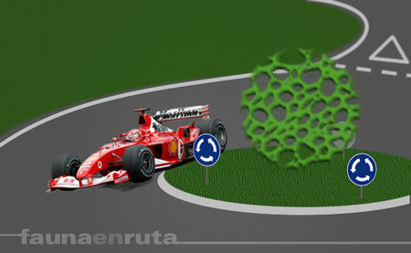 fauna en ruta - f1 seguridad vial