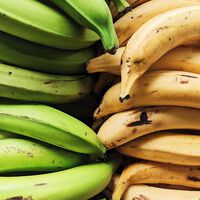 José Luis Caro, frutero: "para evitar que los plátanos se pongan negros rápido, no uses el frutero; sino un tupper en el refrigerador con plástico adherente" 