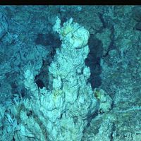 “Cidade perdida” com visual extraordinário é encontrada nas profundezas do oceano 