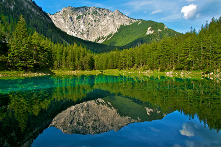 Gruner See 2