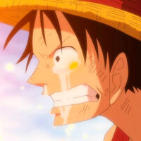 Uno de los momentos más emocionantes de todo One Piece preocupó a su autor, pero los fans respondieron de la mejor manera