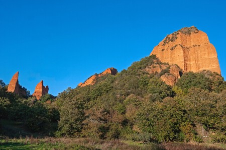 Medulas Antes Despues