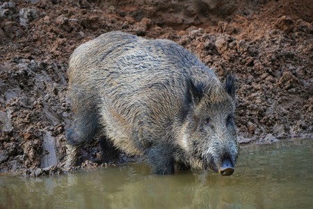 Eberswalde Zoo 12 2017 Img2