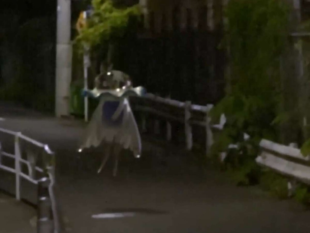 El día que Pokémon se cansó de ser cuqui y apostó por el terror de avistamientos sobrenaturales en callejones oscuros . Noticias en tiempo real