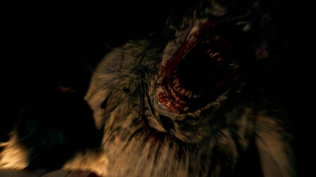 Resident Evil 9 11