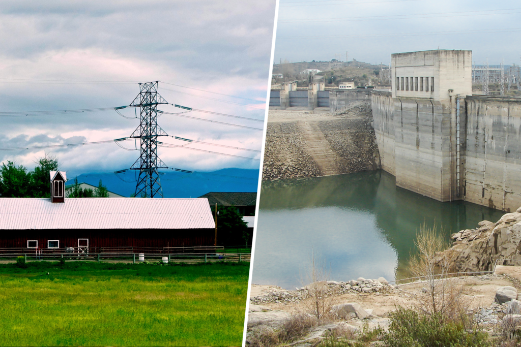 España quiere más carne de cerdo y más agua segura en sus embalses. Y está descubriendo que las dos cosas a la vez no son posibles