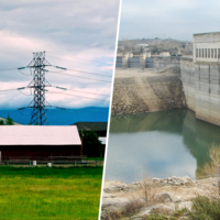 Lejos de las ciudades se está librando una batalla sin cuartel: la de los cerdos contra los embalses