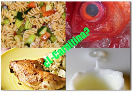 Adivina adivinanza: ¿qué alimento no tiene L-carnitina?
