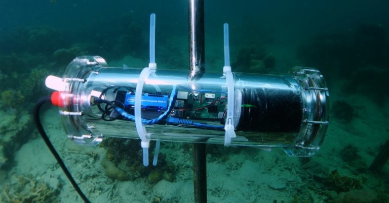 Intel Project Corail 02