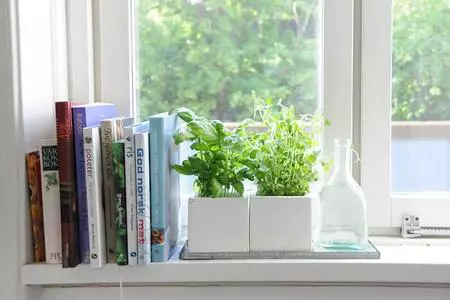 Algunas ideas para decorar tu cocina con plantas aromáticas (y cómo cuidarlas)