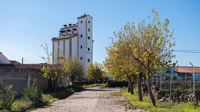 Silo Extremadura