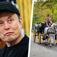 Manejar un auto manual a gasolina será tan obsoleto como ir a caballo. Lo dice Elon Musk