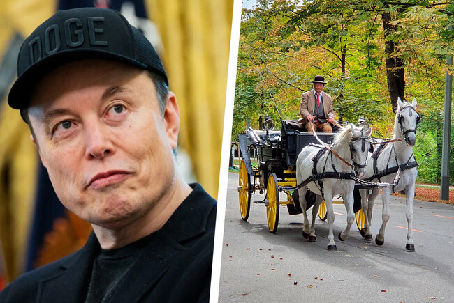 Elon Musk Carruaje