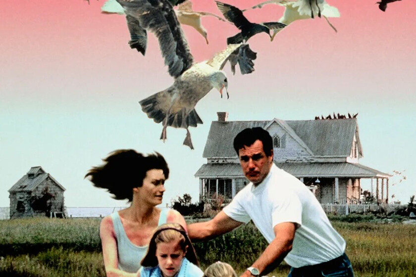 Birds 2