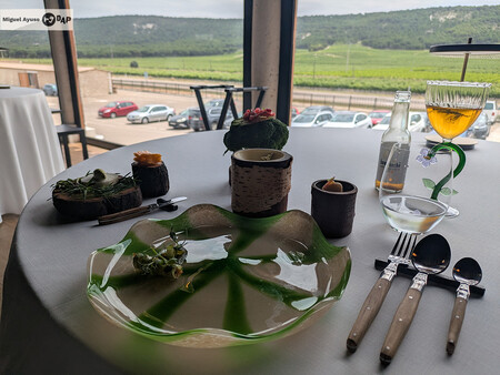 Platos Huerto