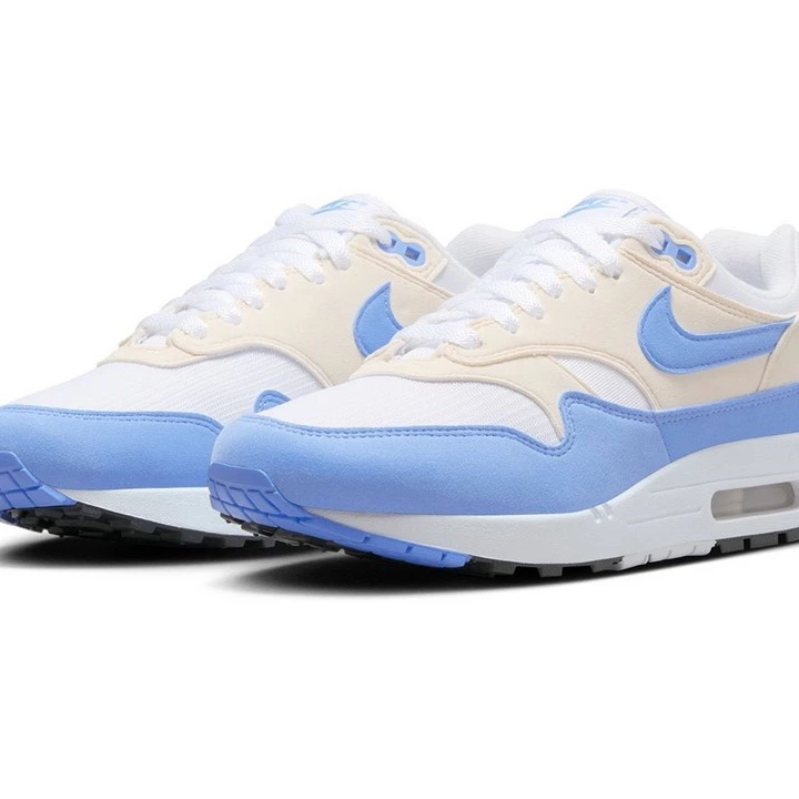 Nike Air Max 1