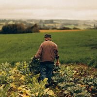 Un agricultor de 84 años dio sus tierras a sus hijas a cambio de cuidados y termina abandonado: la Justicia falla a su favor 