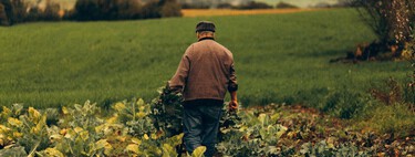 Un agricultor de 84 años dio sus tierras a sus hijas a cambio de cuidados y termina abandonado: la Justicia falla a su favor 