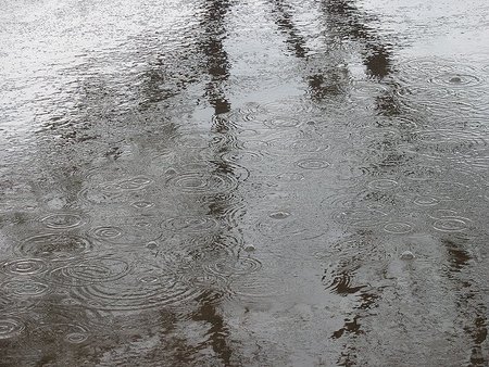 Esencia de lluvia, ¿Por qué nos gusta?