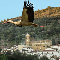 Los pueblos más bonitos de España nos enamoran con los finalistas de su concurso de fotografía