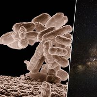 Llevamos años preocupados por los "falsos positivos". El problema es otro: encontrar vida extraterrestre e ignorarla