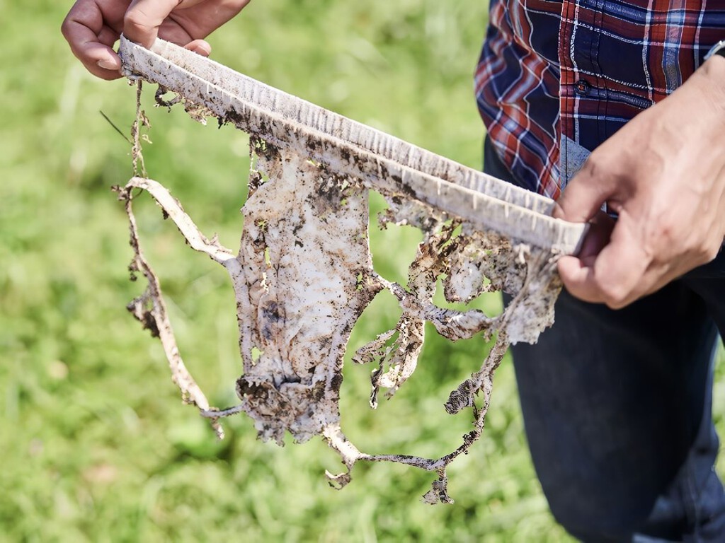 Un agricultor enterró sus calzoncillos en el campo para medir la fertilidad del suelo y los científicos concuerdan con lo que descubrió