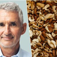 Tim Spector, experto en microbiota: “La mejor forma de ayudar a tu salud cerebral es comer frutos secos mixtos” 