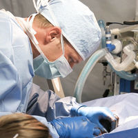 Los rebrotes perjudican más a la economía española que al resto de Europa