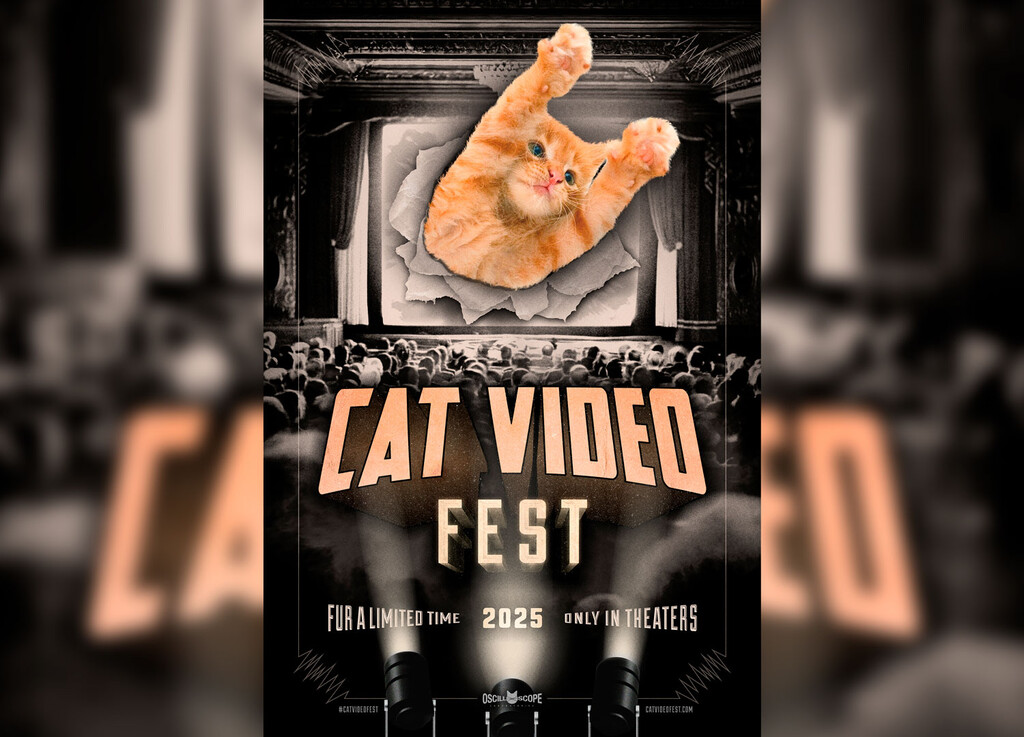 En 2016 un hombre empezó a editar películas con vídeos de gatitos. Hoy las proyecta en cines y está recaudando una fortuna 